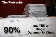 Dingle Daingean Ui Chius Plebiscite